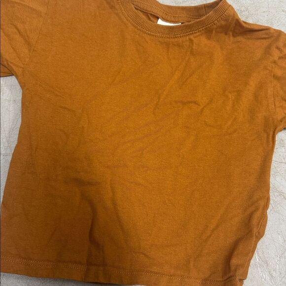 Zara Brown Long Sleeve Top Kids T Shirt - 18-24 Months LIKE NEW - Picture 3 of 3